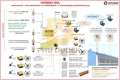 schemat_virgo-inl.jpg