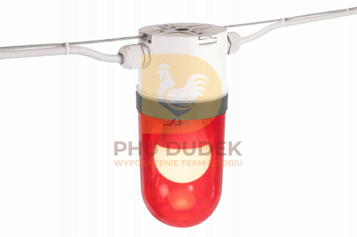 xena once czerwony.png