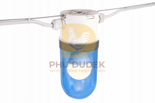 xena once niebieski.png